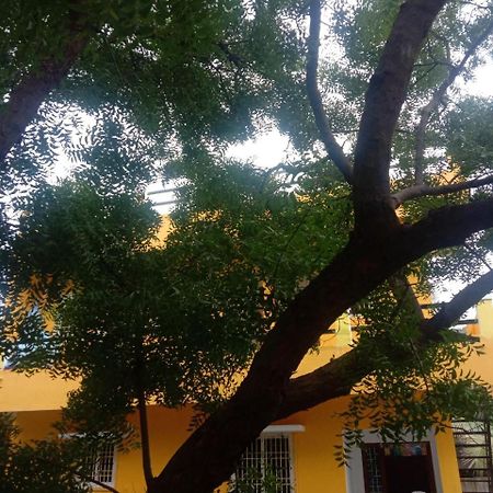 Thendral Hostel Monthly Rental بونديتْشيري المظهر الخارجي الصورة