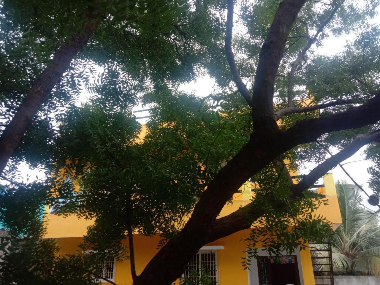 Thendral Hostel Monthly Rental بونديتْشيري المظهر الخارجي الصورة